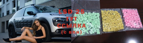 стаф Армянск