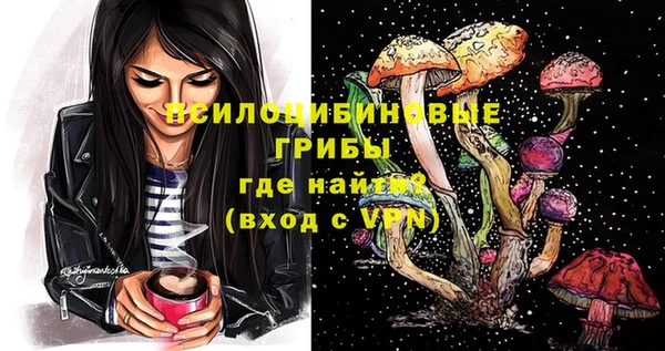 прущая мука Арсеньев